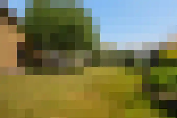 Zwartendijk 14 Monster thumbnail 43