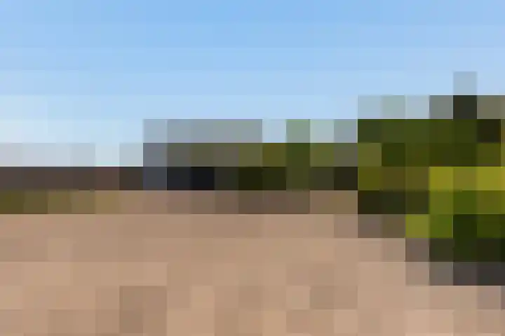 Zwartendijk 14 Monster thumbnail 44