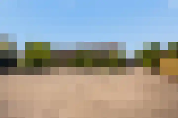 Zwartendijk 14 Monster thumbnail 45