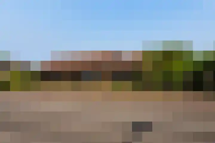Zwartendijk 14 Monster thumbnail 46