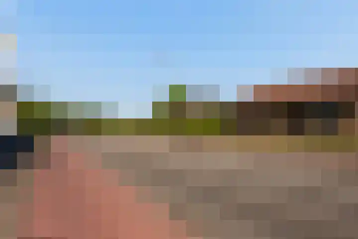 Zwartendijk 14 Monster thumbnail 47