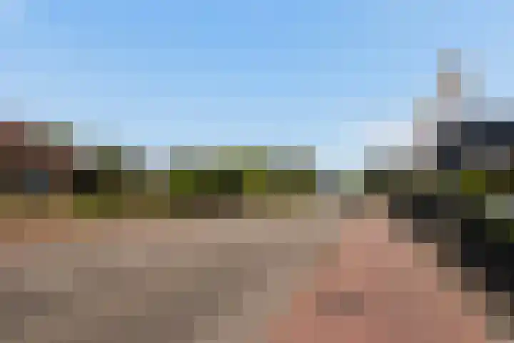 Zwartendijk 14 Monster thumbnail 48