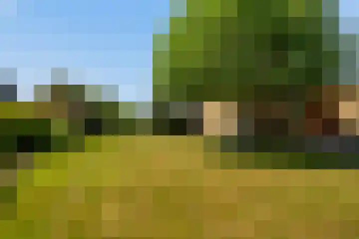 Zwartendijk 14 Monster thumbnail 6
