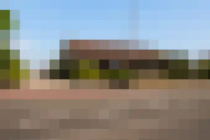 Zwartendijk 14 Monster thumbnail 7