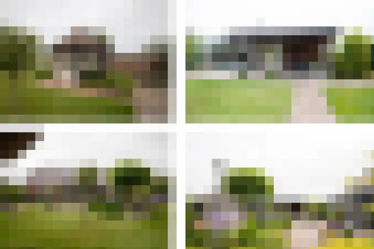 Zwartendijk 16 Monster thumbnail 21
