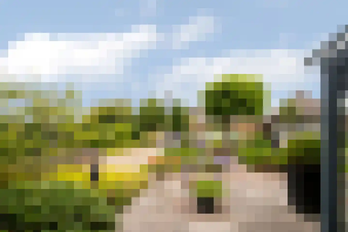 Zwartendijk 16 Monster thumbnail 4