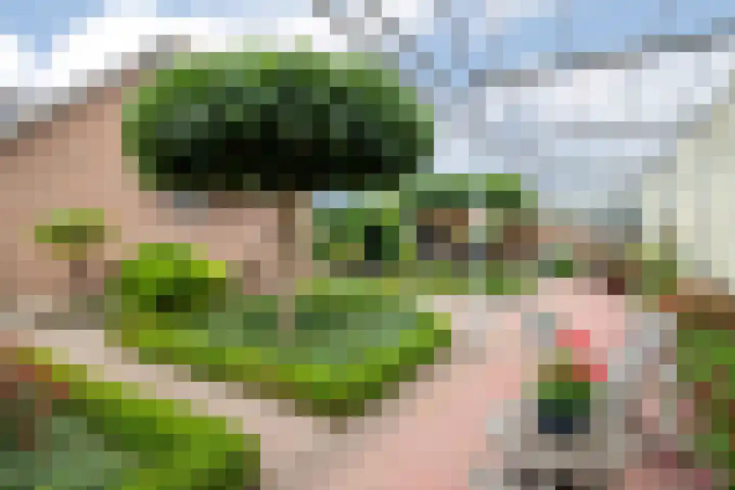 Zwartendijk 16 Monster thumbnail 49