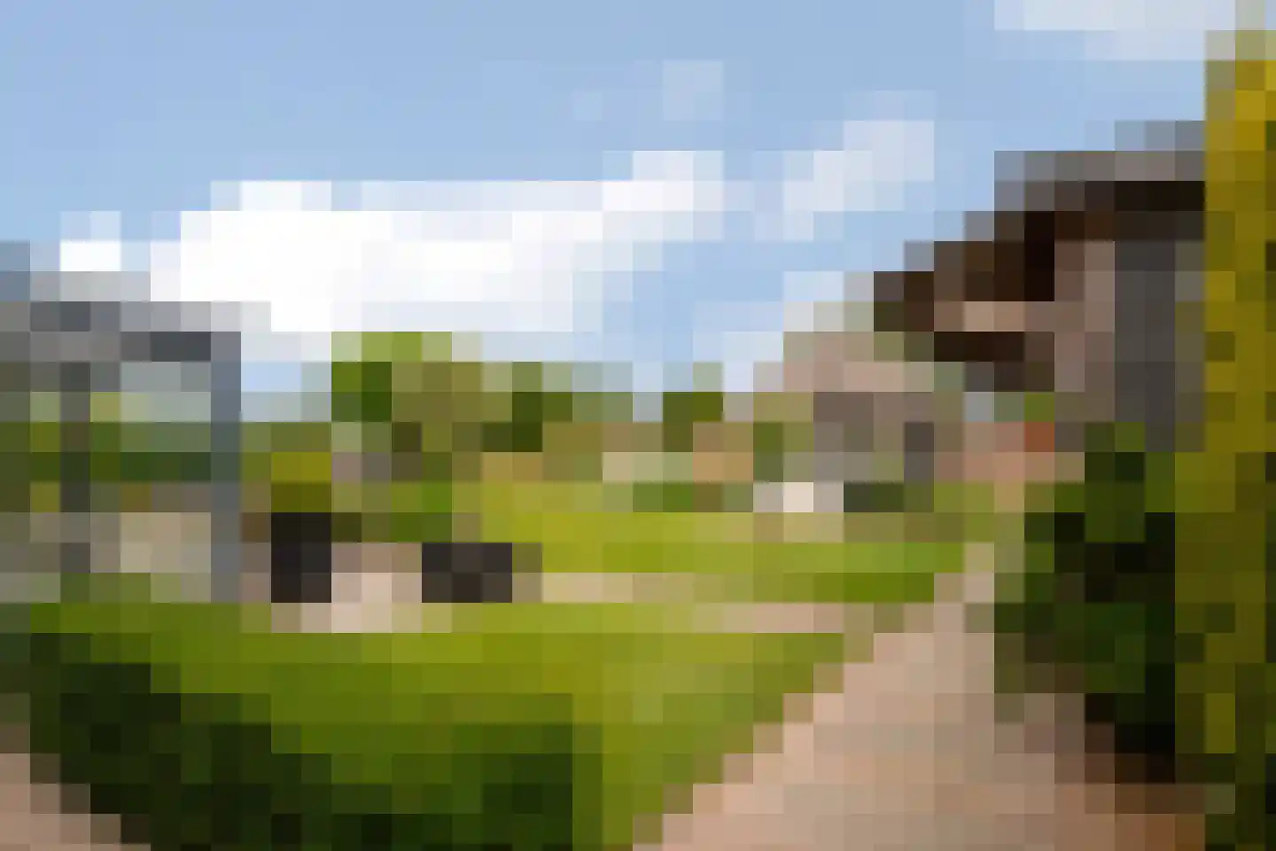 Zwartendijk 16 Monster thumbnail 50