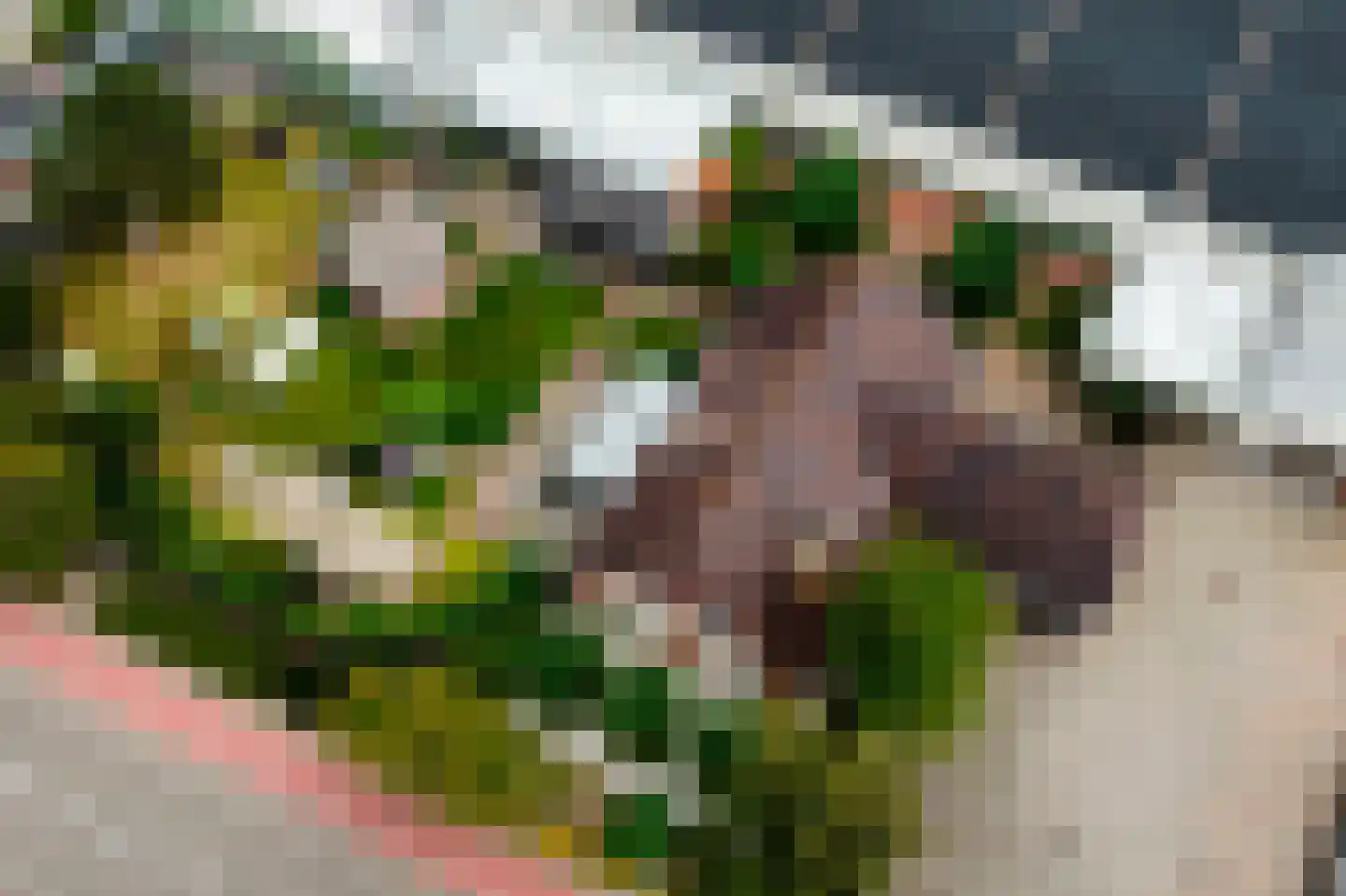 Zwartendijk 16 Monster thumbnail 57