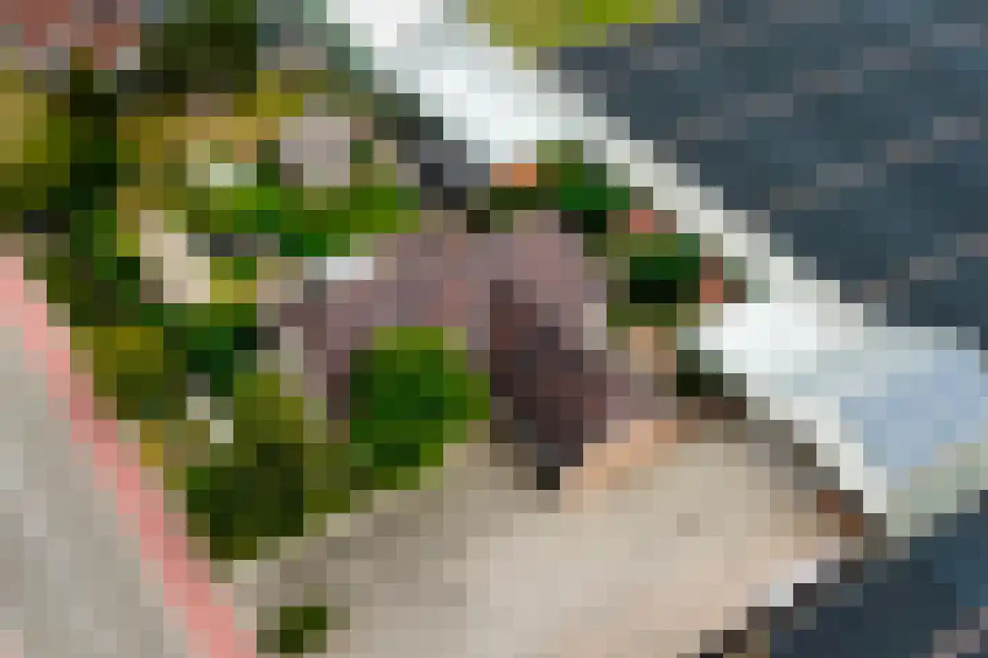 Zwartendijk 16 Monster thumbnail 58
