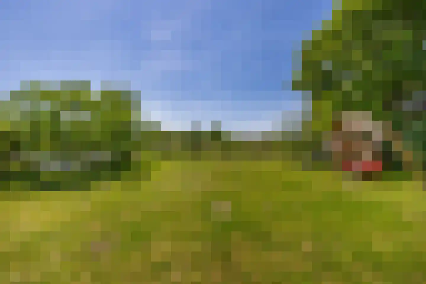 Zwartendijk 23 Naaldwijk thumbnail 16