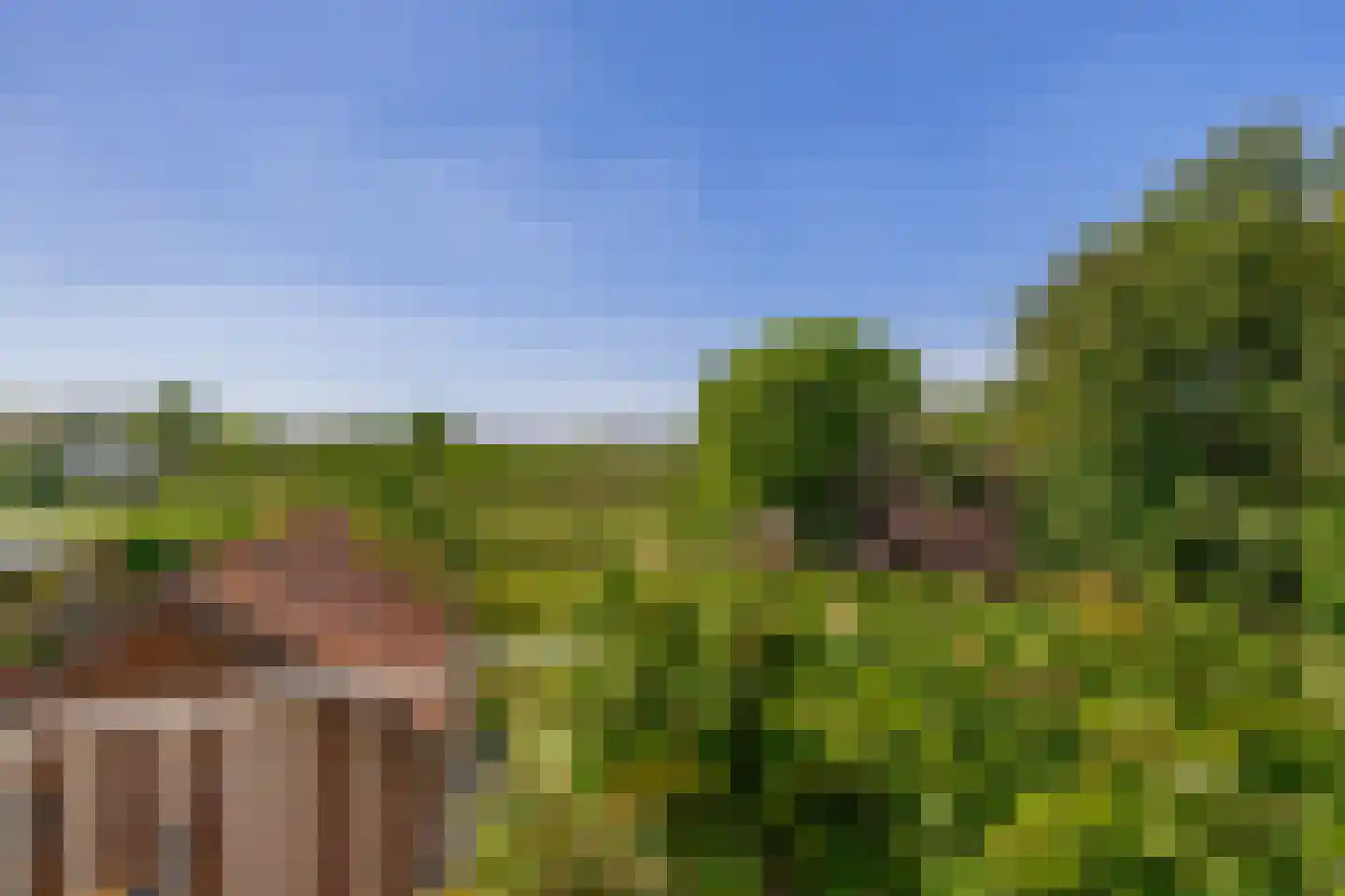 Zwartendijk 23 Naaldwijk thumbnail 31