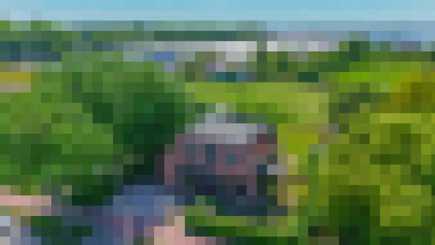 Zwartendijk 23 Naaldwijk thumbnail 37