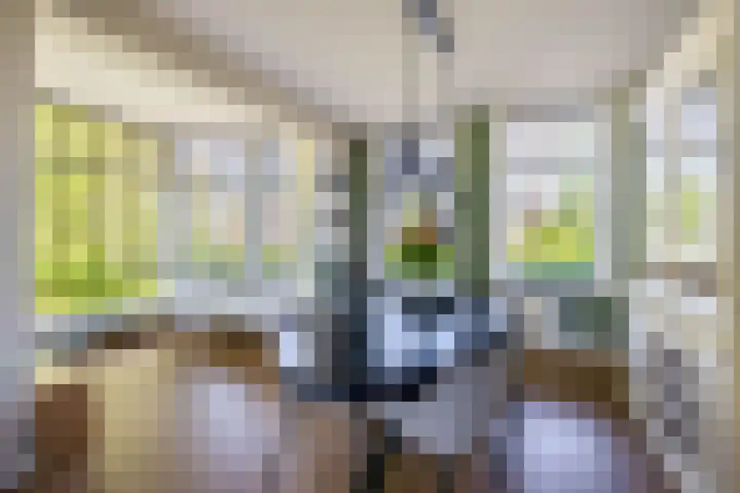 Zwartendijk 23 Naaldwijk thumbnail 4