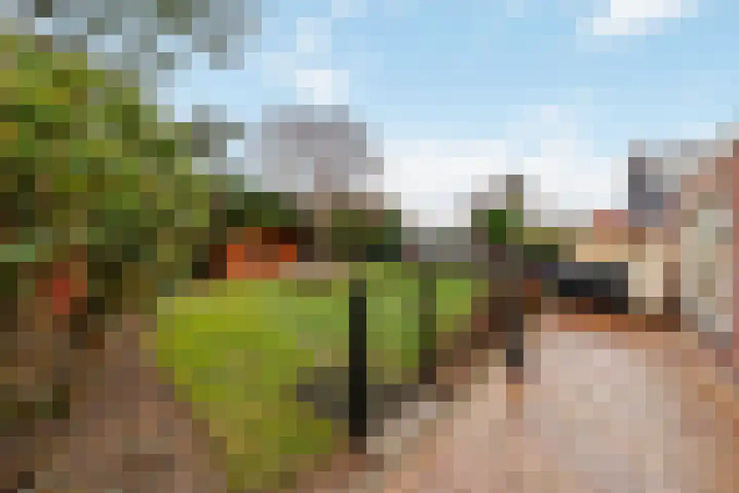 Zwartendijk 29 Monster thumbnail 30