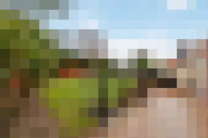 Zwartendijk 29 Monster thumbnail 30