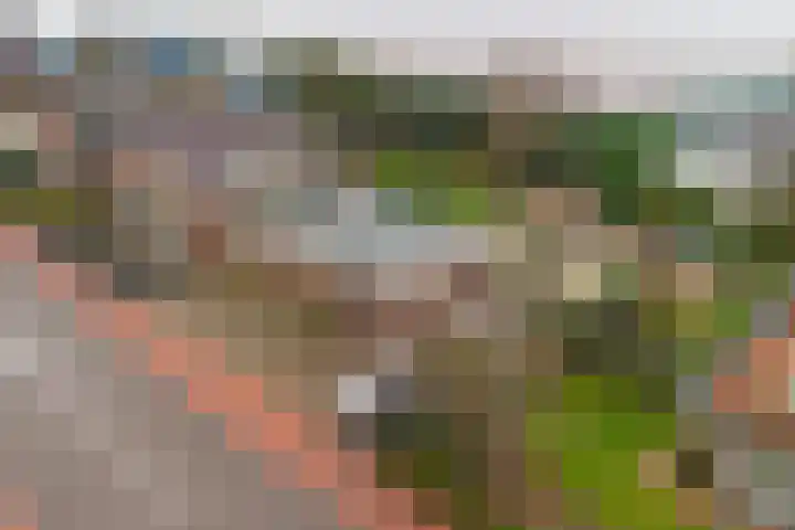 Zwartendijk 29 Monster thumbnail 39