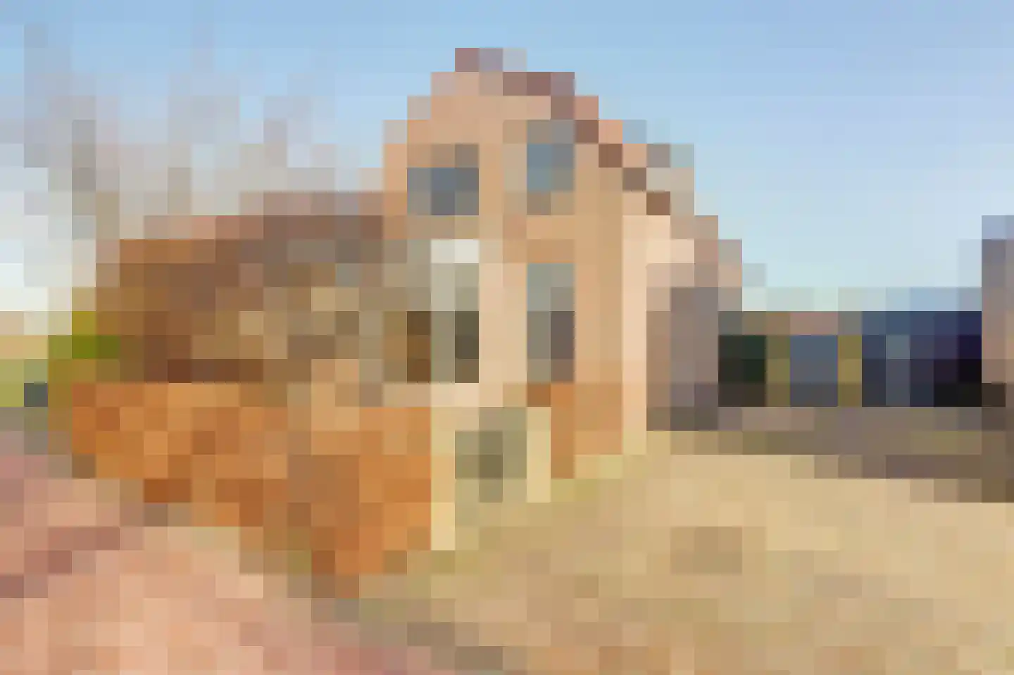 Zwartendijk 4 Monster thumbnail 33
