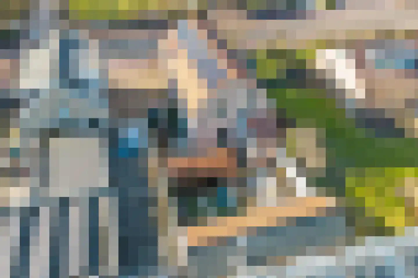 Zwartendijk 4 Monster thumbnail 34