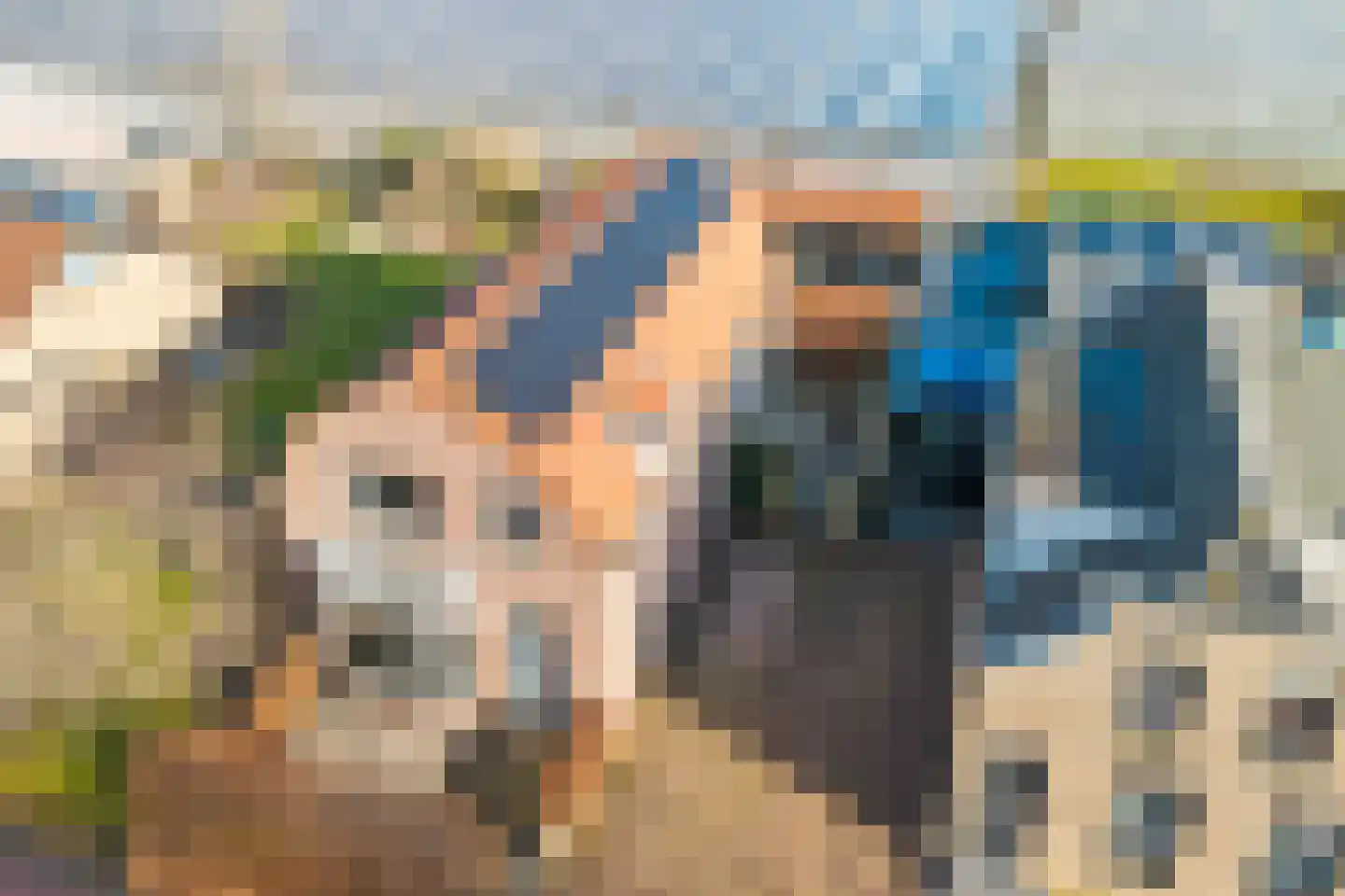 Zwartendijk 4 Monster thumbnail 35