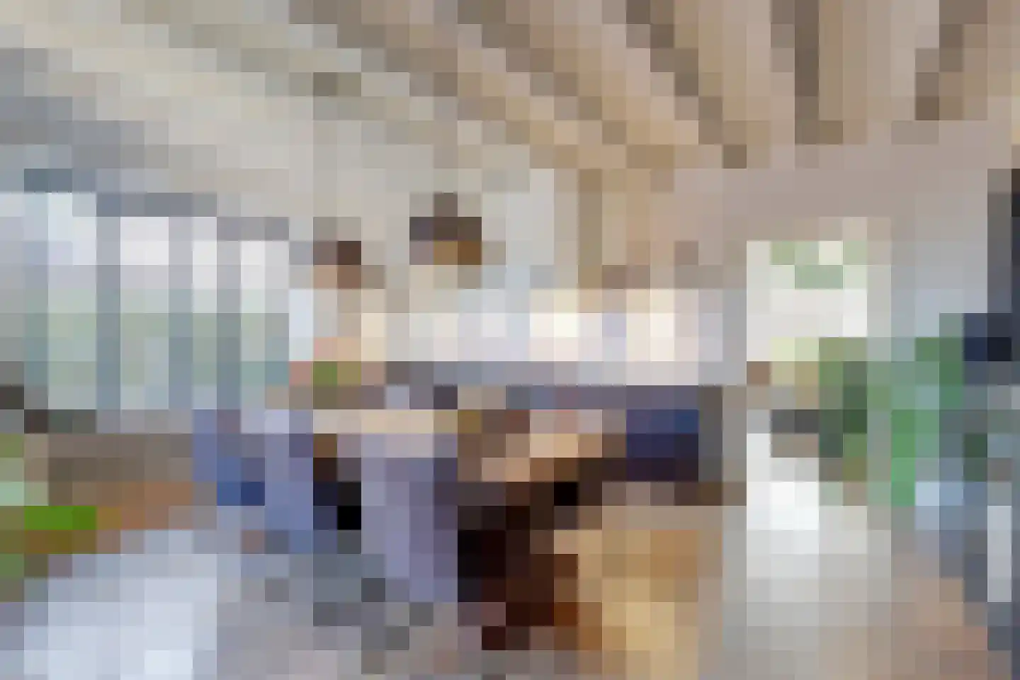 Zwartendijk 4 Monster thumbnail 9