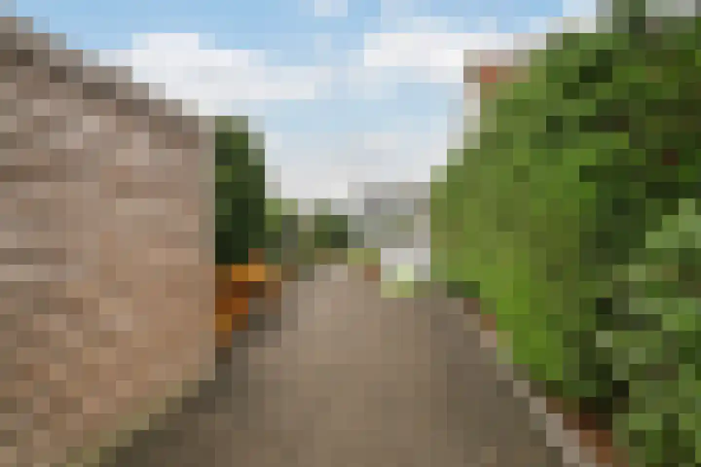 Zwartendijk 40 Monster thumbnail 20