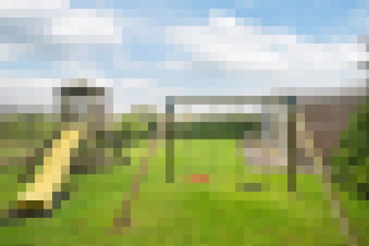 Zwartendijk 40 Monster thumbnail 25