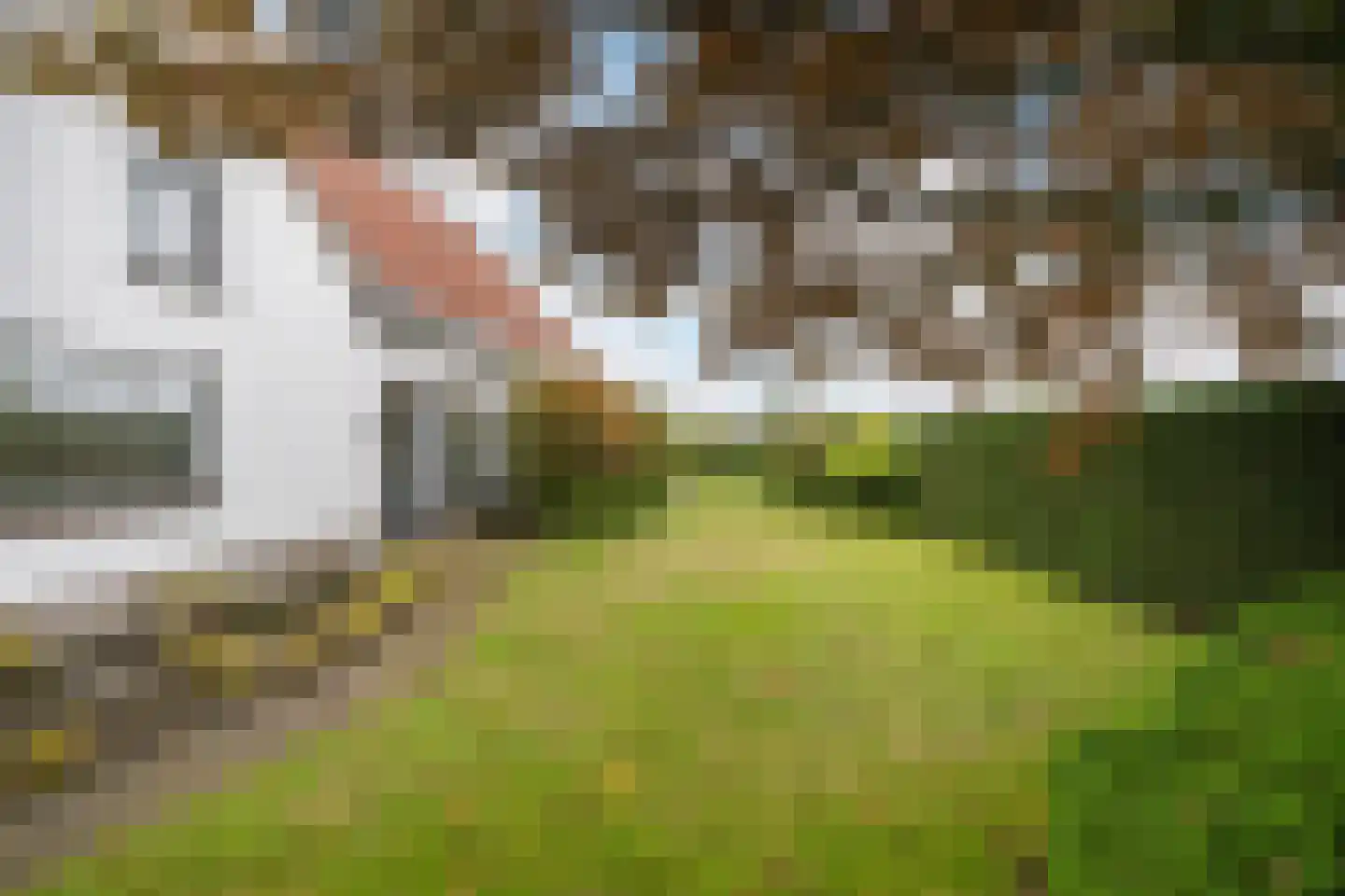 Zwartendijk 40 Monster thumbnail 46