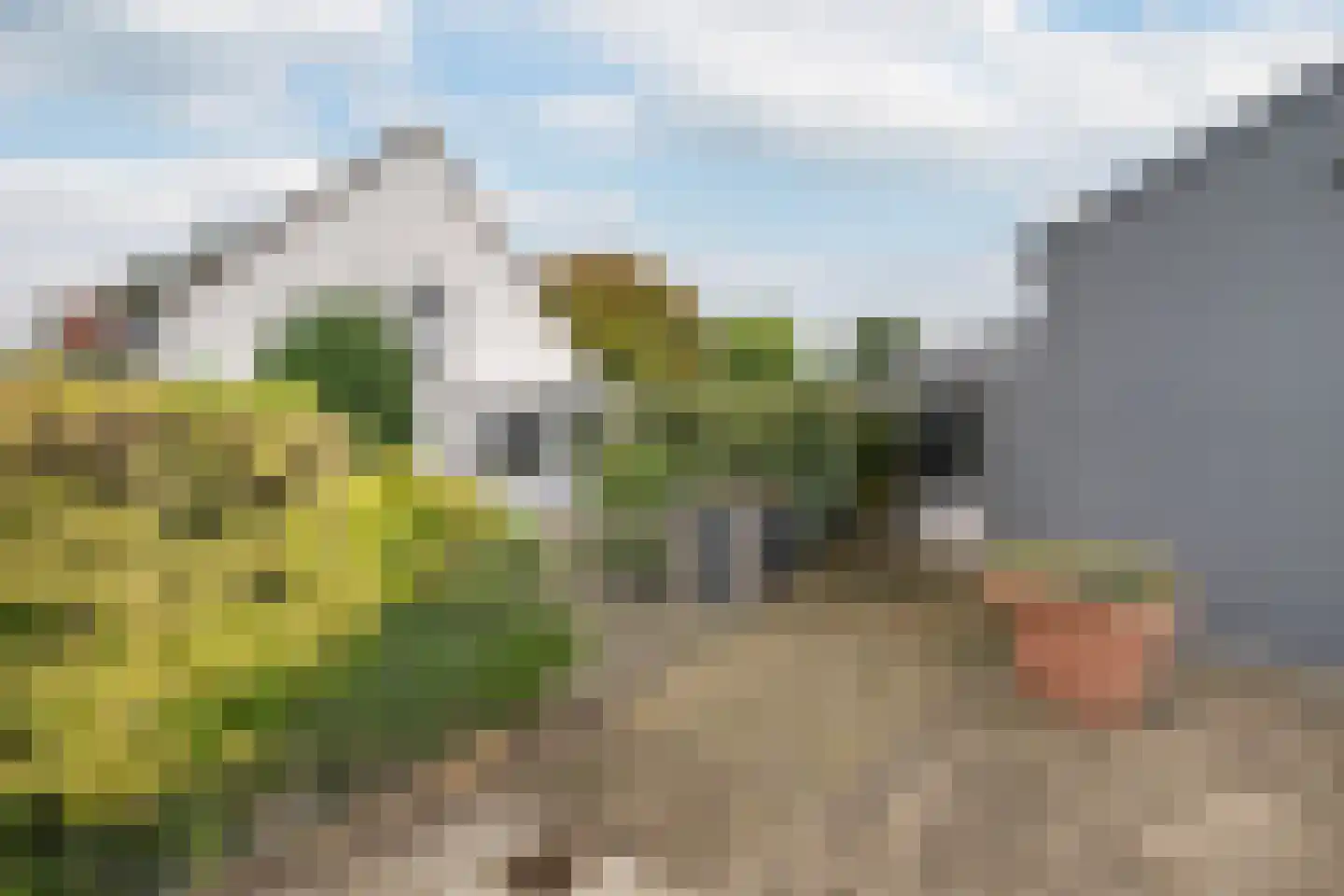 Zwartendijk 40 Monster thumbnail 48