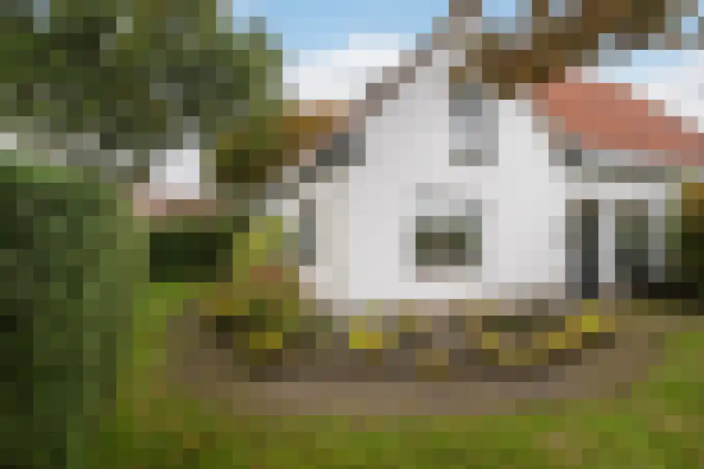 Zwartendijk 40 Monster thumbnail 6