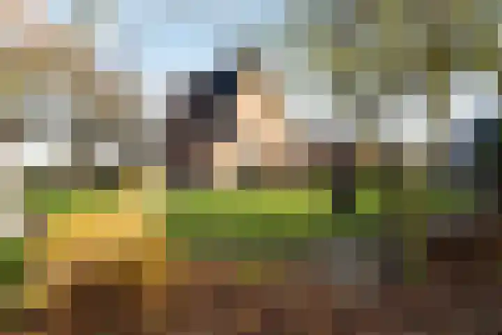 Zwartendijk 41 Monster thumbnail 61
