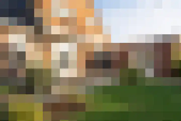 Zwartendijk 41 Monster thumbnail 62