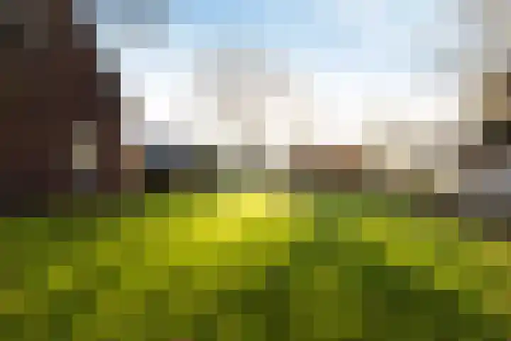 Zwartendijk 41 Monster thumbnail 63
