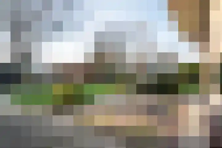 Zwartendijk 41 Monster thumbnail 65