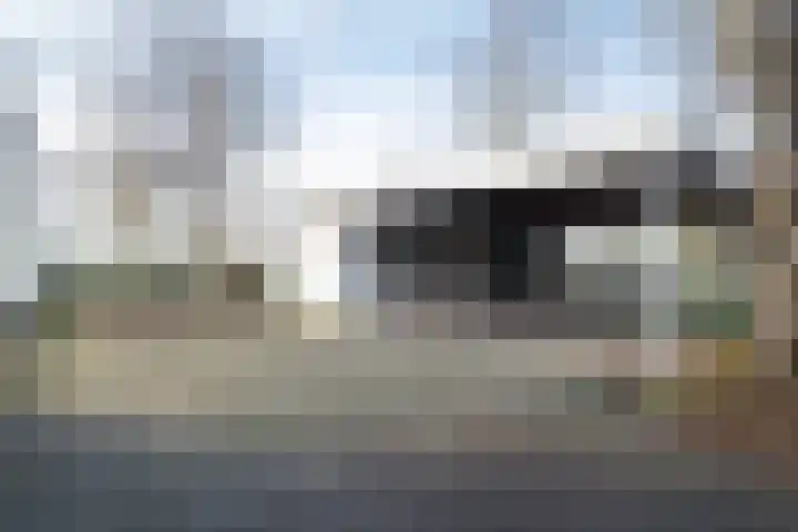Zwartendijk 41 Monster thumbnail 68