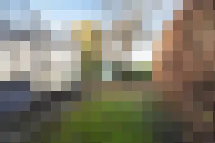 Zwartendijk 41 Monster thumbnail 72