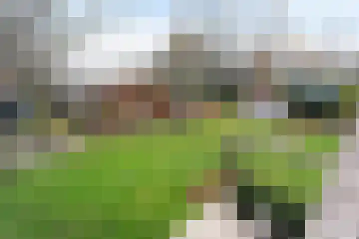 Zwartendijk 41 Monster thumbnail 73