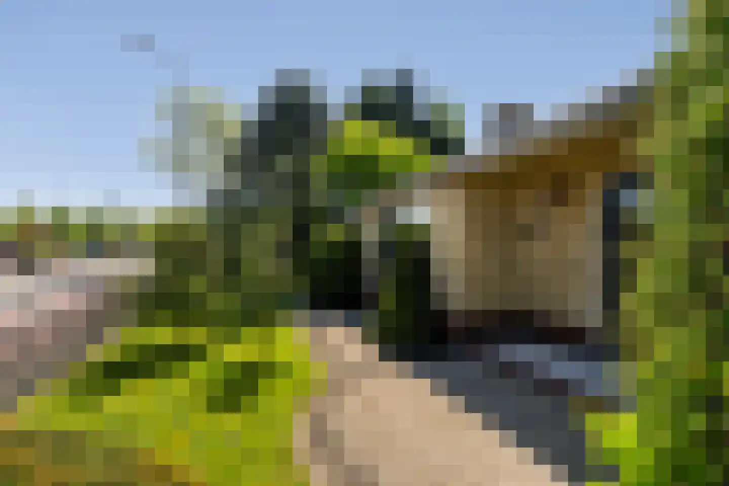 Zwartendijk 45 Monster thumbnail 39
