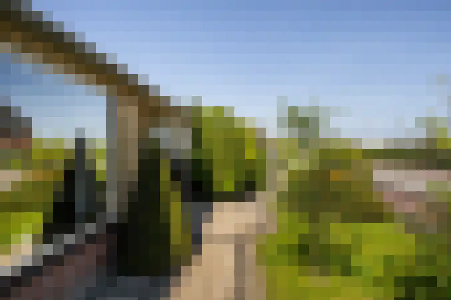 Zwartendijk 45 Monster thumbnail 40