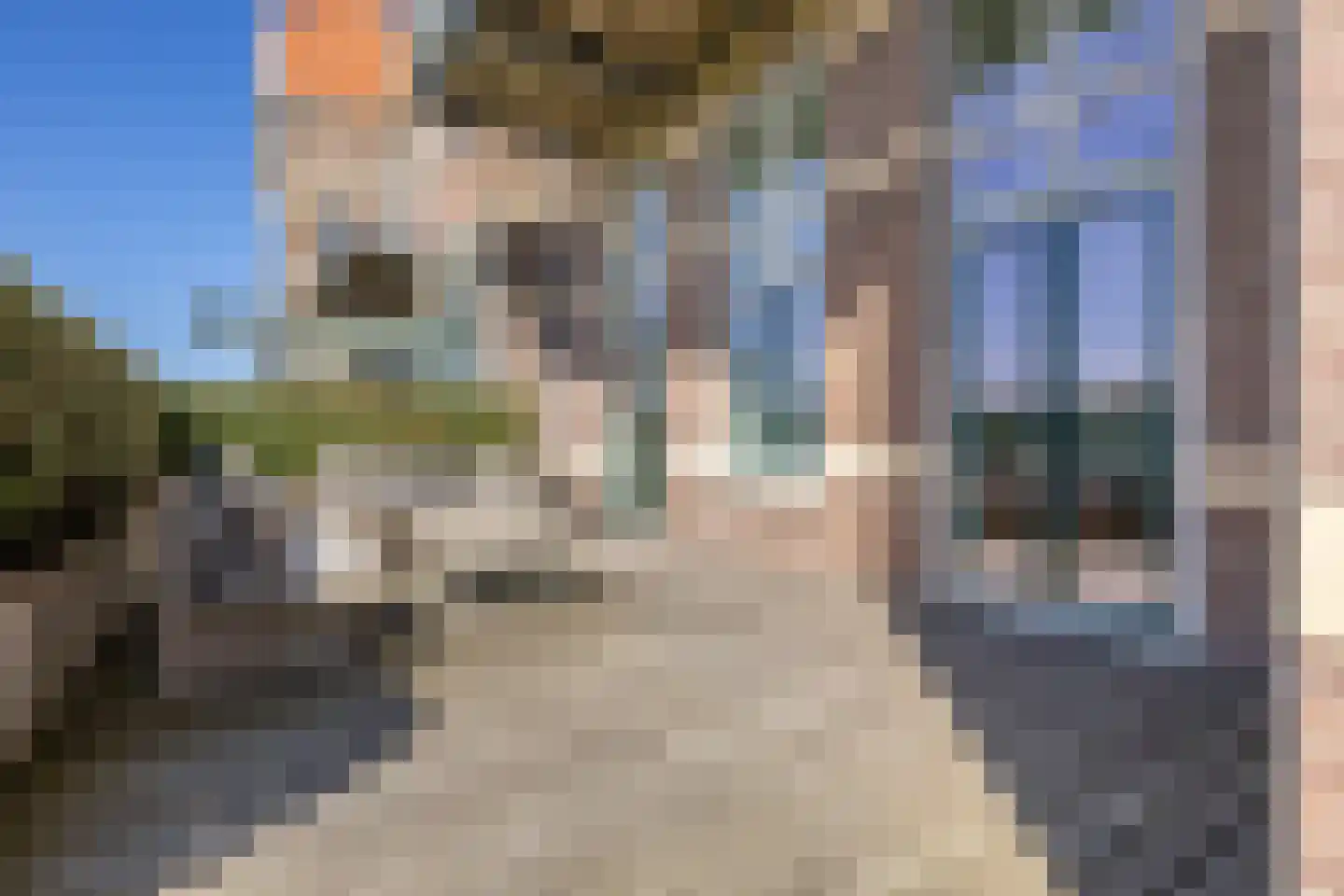 Zwartendijk 7 Egmond aan Zee thumbnail 46