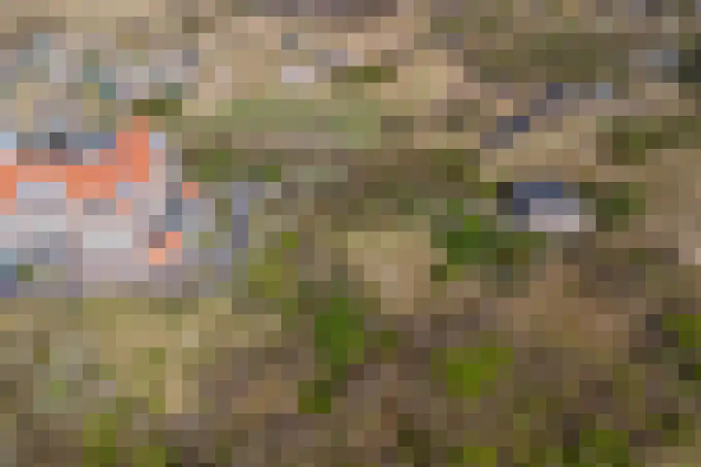 Zwartendijk 7 Egmond aan Zee thumbnail 56