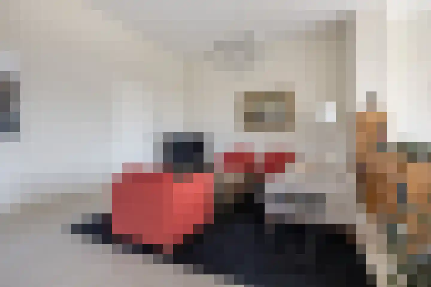 Zwartendijk 7 Egmond aan Zee thumbnail 7