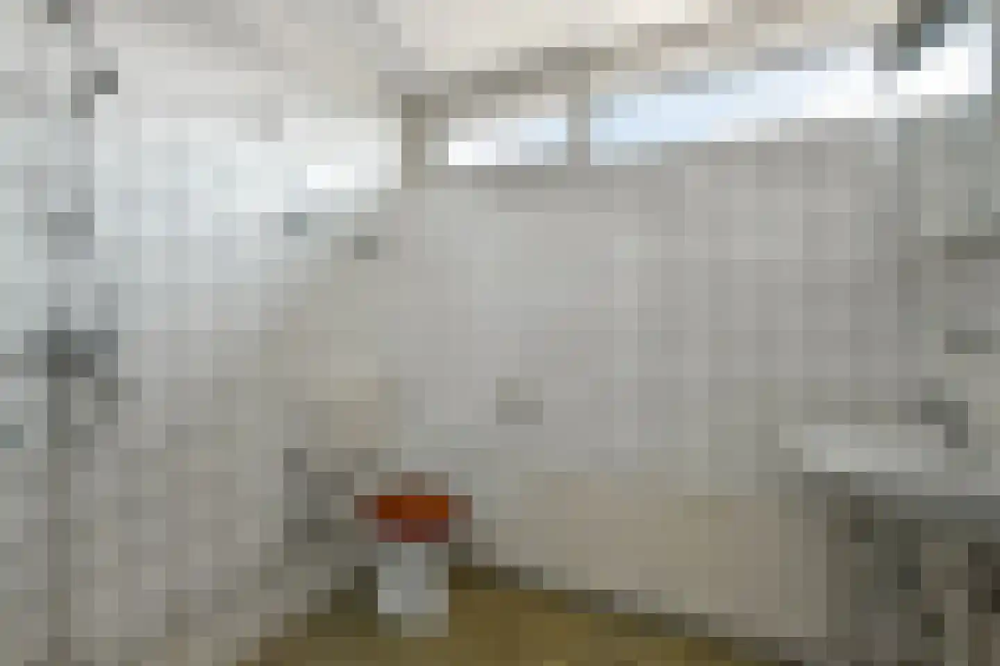 Zwartenhof 13 Elst thumbnail 21