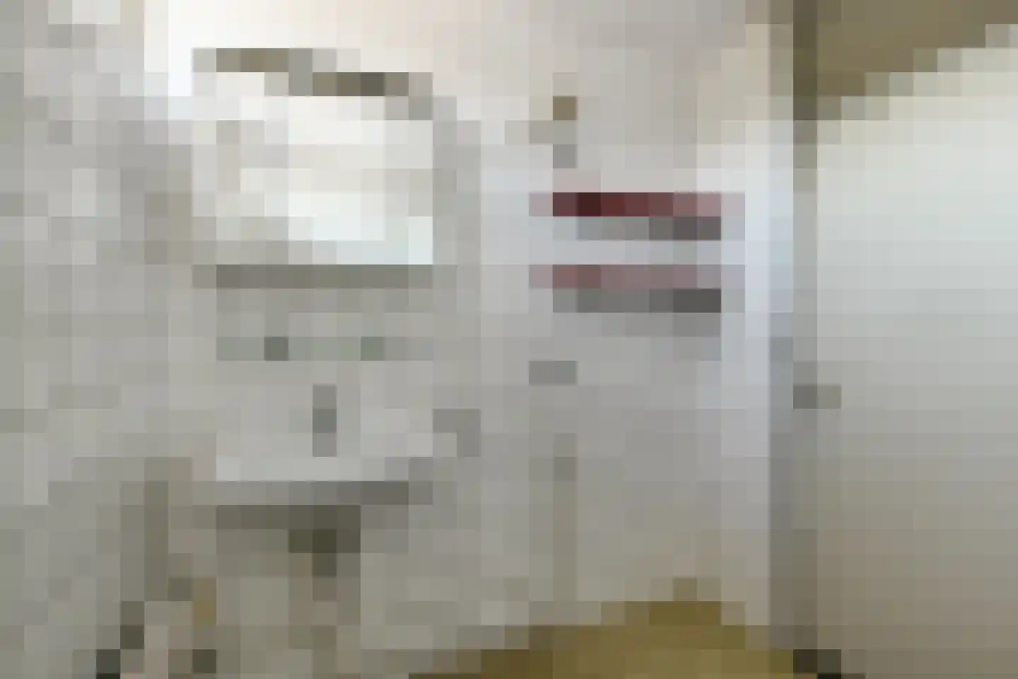 Zwartenhof 13 Elst thumbnail 23