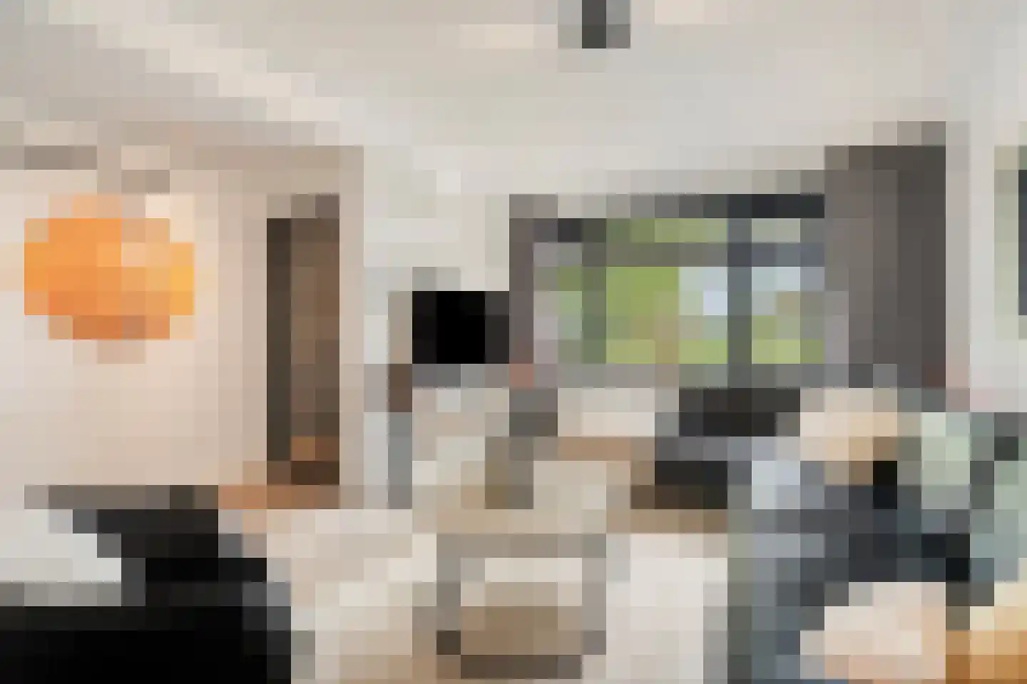 Zwartepad 10 Warmenhuizen thumbnail 10