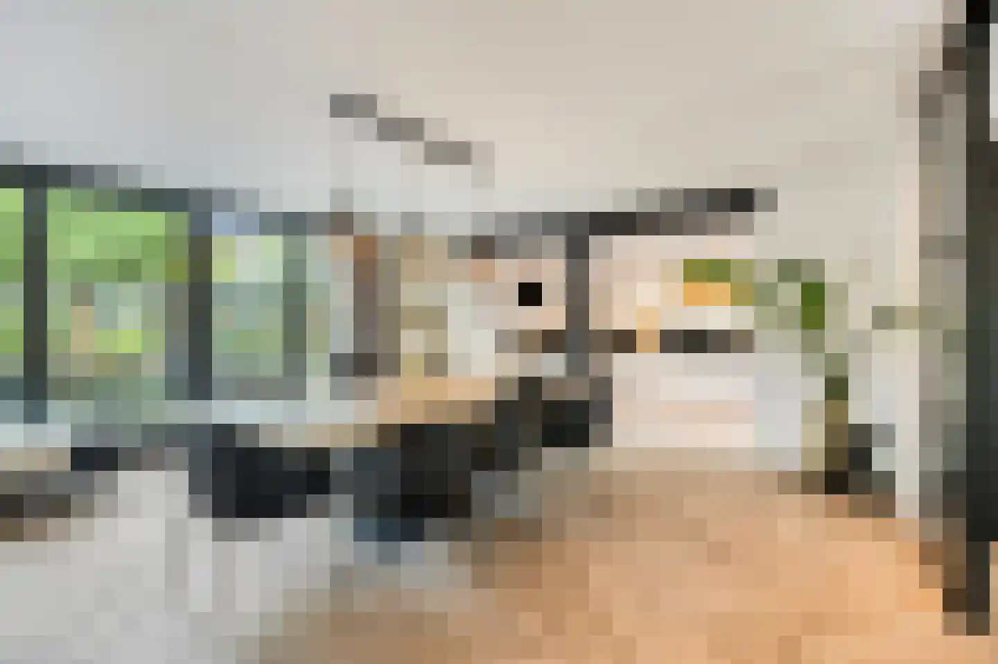 Zwartepad 10 Warmenhuizen thumbnail 14