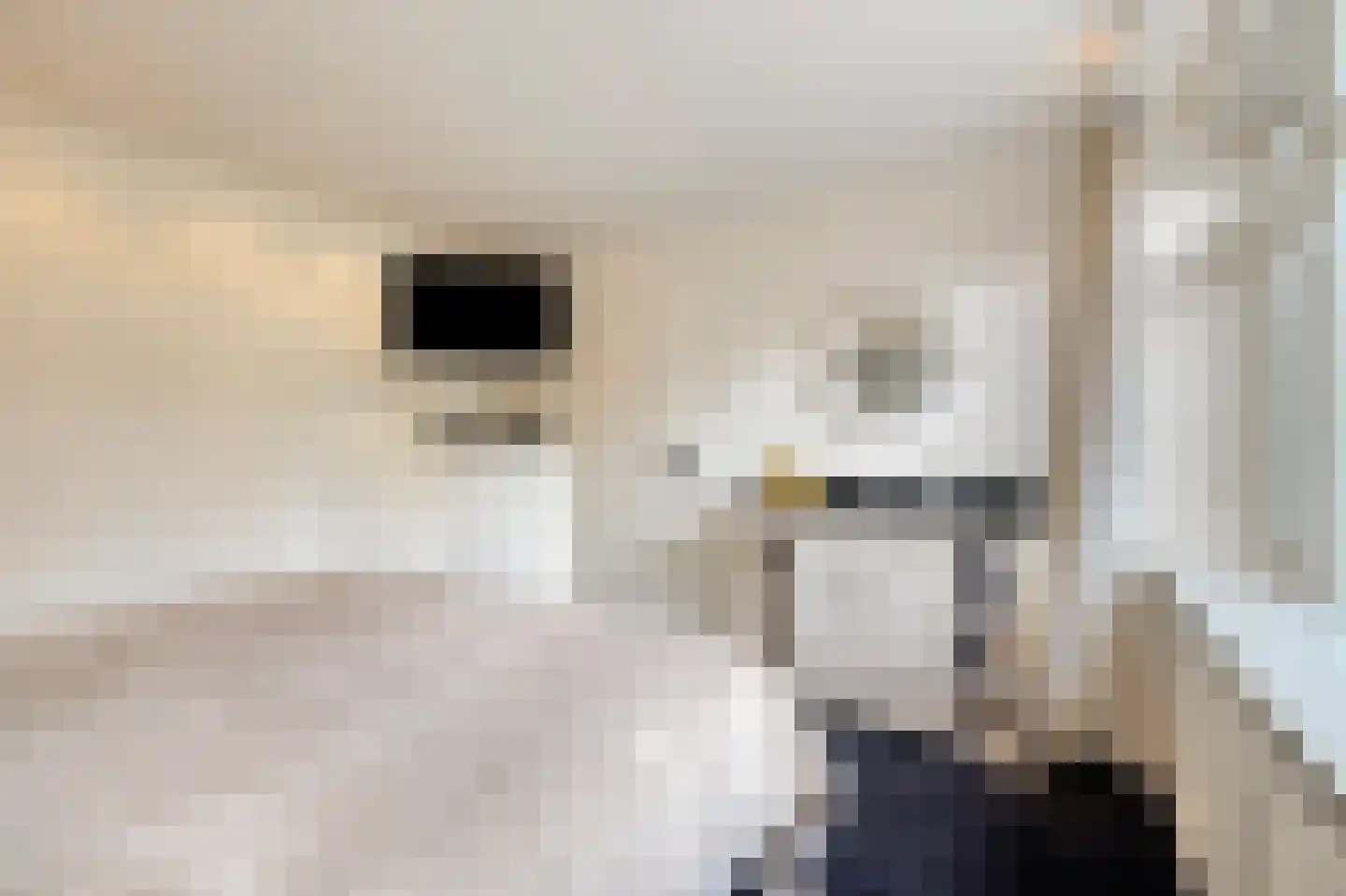 Zwartepad 10 Warmenhuizen thumbnail 31