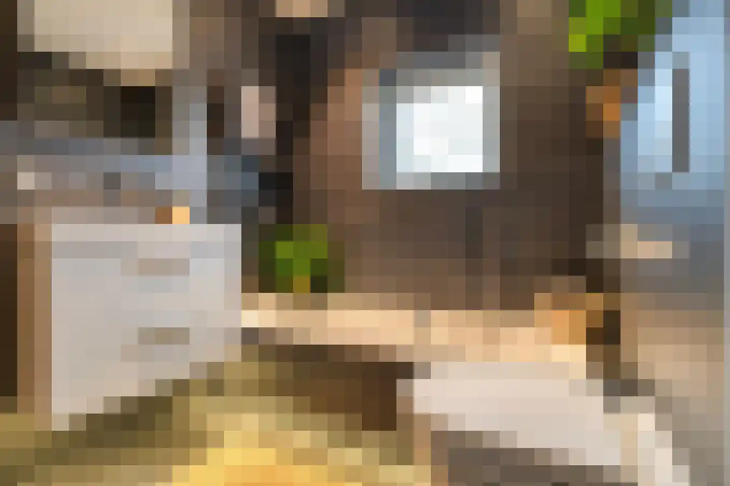 Zwartepad 10 Warmenhuizen thumbnail 36