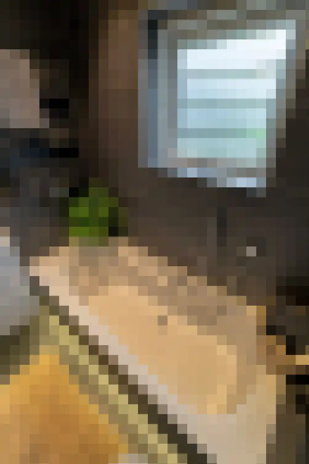 Zwartepad 10 Warmenhuizen thumbnail 42