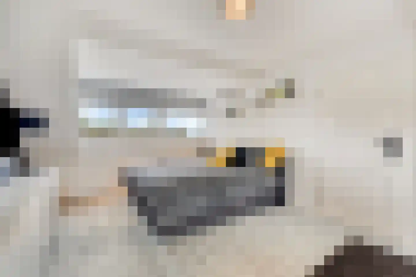 Zwartepad 10 Warmenhuizen thumbnail 45